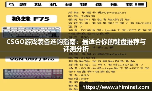 3亿体育官网