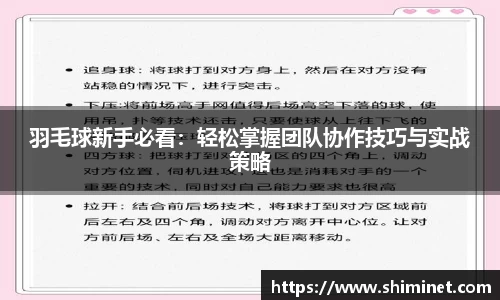 3亿体育官网