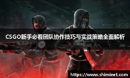 CSGO新手必看团队协作技巧与实战策略全面解析