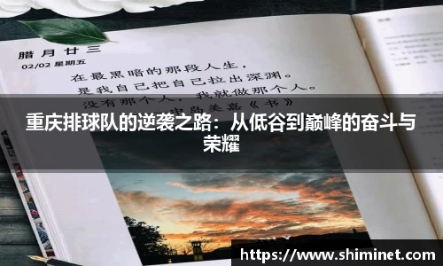 3亿体育官网