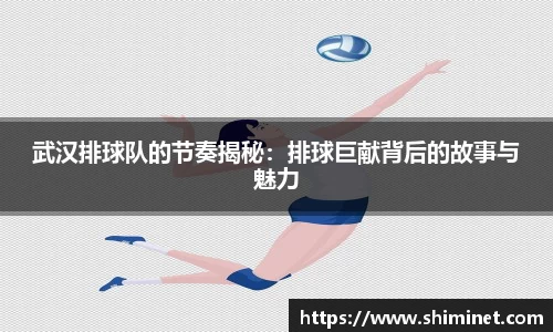 武汉排球队的节奏揭秘：排球巨献背后的故事与魅力