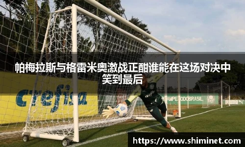 帕梅拉斯与格雷米奥激战正酣谁能在这场对决中笑到最后