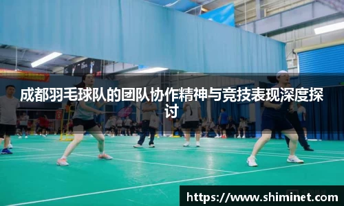 成都羽毛球队的团队协作精神与竞技表现深度探讨